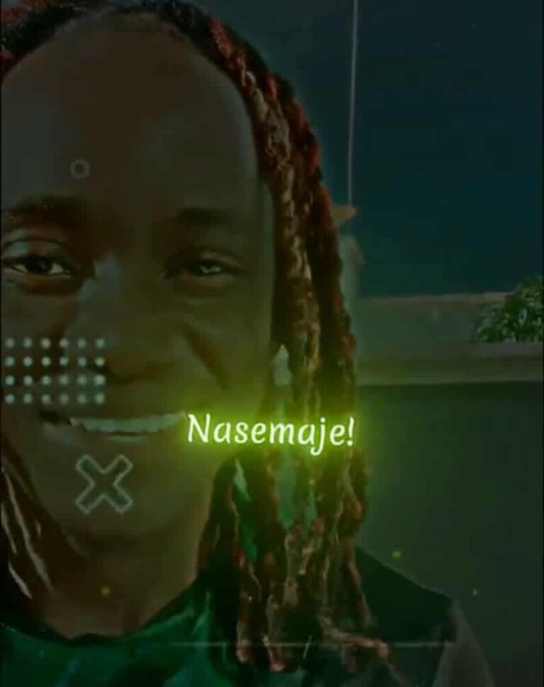 Micky Singer – Naroga