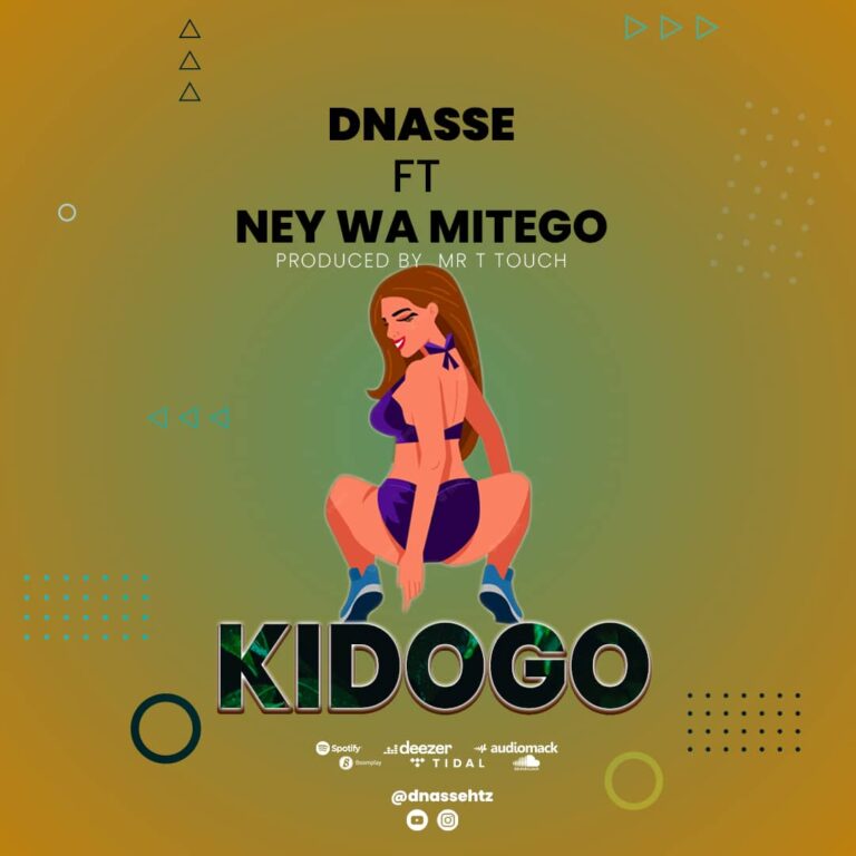 Dnasse Ft. Nay Wa Mitego – Kidogo