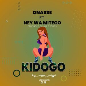Music Audio : Dnasse Ft. Nay Wa Mitego – Kidogo