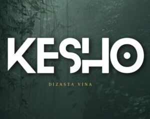 Music Audio : Dizasta Vina – Kesho