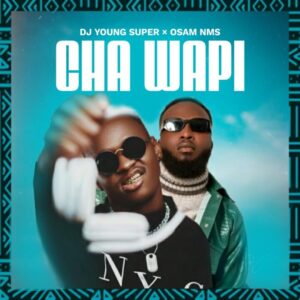 Music Audio : Dj Young Super X Osam Nms – Cha Wapi