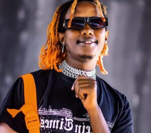 Music Audio : Feffe  Bussi – Influencer