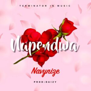 Music Audio : Navynize – Napendwa
