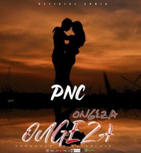Music Audio : Pnc – Ongeza