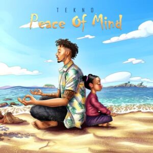 Music Audio : Tekno – Peace of Mind