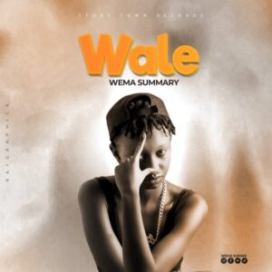 Music Audio : Wema Summary – Wale