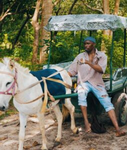 Music Video : Walter Chilambo Ft. Jux – Success