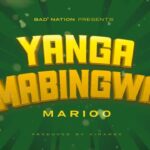 Yanga Mabingwa