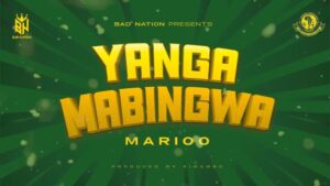 Music Audio : Marioo – Yanga Mabingwa