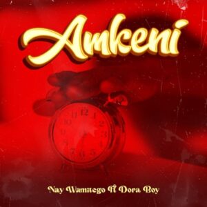 Music Audio : Nay Wa Mitego Ft. Dora boy – Amkeni
