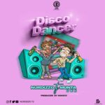 Disco Dancer