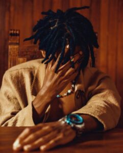 Music Audio : Rapcha – Narudi Home