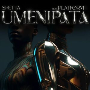 Music Audio : Shetta Ft. Platform – Umenipata
