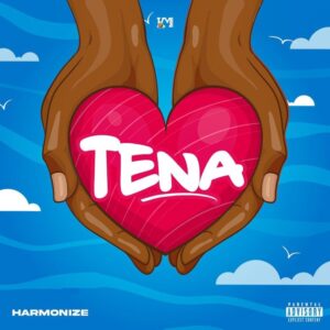 Music Audio : Harmonize – Tena