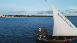 Music Video : Harmonize – Tena