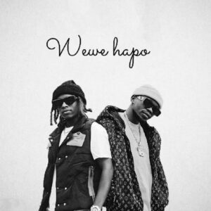 Music Audio : Lony Bway x Marioo – Wewe Hapoo