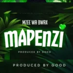 Mapenzi