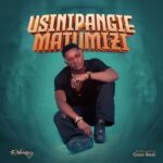 Usinipangie Matumizi