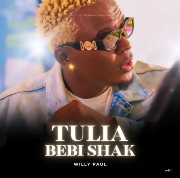 Willy Paul – Tulia ( Bebi Shak )