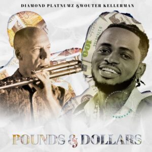 Music Audio : Diamond Platnumz & Wouter Kellerman – Pounds & Dollars