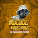 Twende Pole Pole