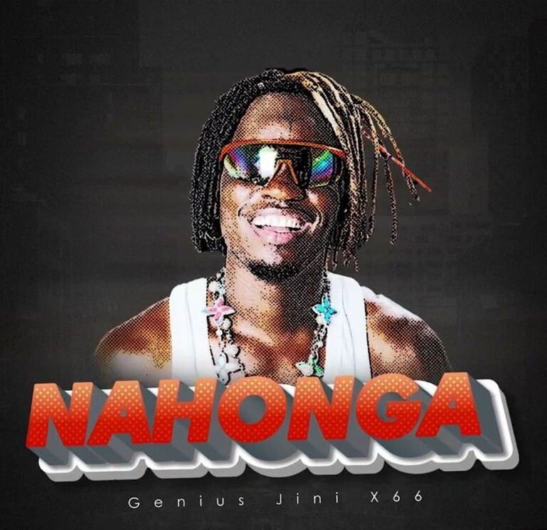 Geniusjini X66 – Nahonga