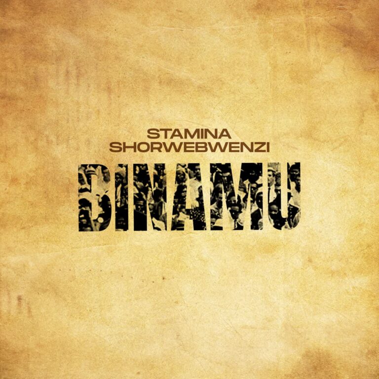 Stamina Ft. Mwanafa – Binamu Remix