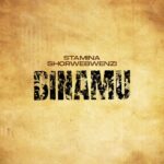 Binamu Remix