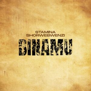 Music Audio : Stamina Ft. MwanaFA – Binamu Remix