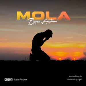 Music Audio : Bosco Antana – Mola