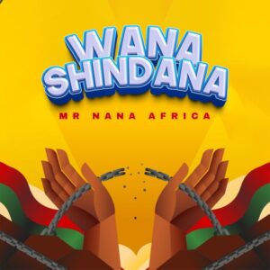 Music Audio : Mr Nana – Wanashindana