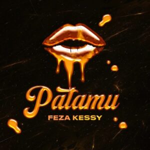 Music Audio : Feza Kessy – Patamu