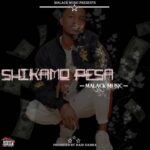 Shikamo Pesa