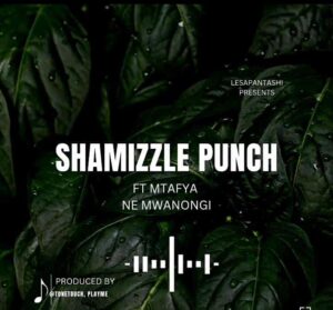 Music Audio : Shamizzle Punch Ft. Mtafya – Ne Mwanongi