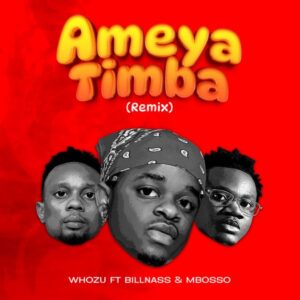 Music Audio : Whozu Ft Mbosso & Billnass – Ameyatimba Remix