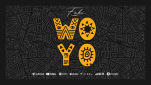 Music Audio : Fabi – Woyo