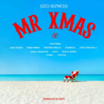 Mr X Mas (V)