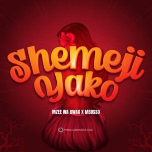 Music Audio : Mbosso X Mzee wa Bwax – Shemeji Yako