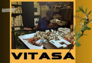 Music Audio : Freshboys – Vitasa