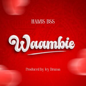Music Audio : Hamis Bss – Waambie