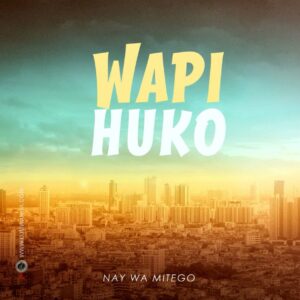 Music Audio : Nay Wa Mitego – Wapi Huko