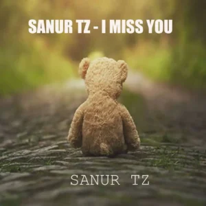 Music Audio : Sanur – I miss You