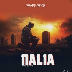 Music Audio : Snake Gold – Nalia