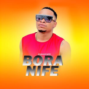 Music Audio : Mavoicetz (Mavoo) – Bora Nife