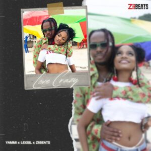Music Audio : Yammi X Lexsil X ZiiBeats – Love Crazy