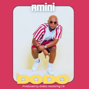 Music Audio : Amini – Dodo