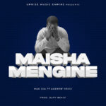 Maisha Mengine