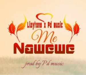 Music Audio : Lizytone X Pd Music – Me Nawewe