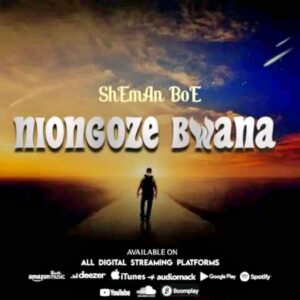 Music Audio : ShEmAn BoE – Niongoze Bwana