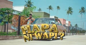 Music Video : Suma Mnazaleti Ft. Chino Kidd & Gerkey – Hapa Ni Wapi